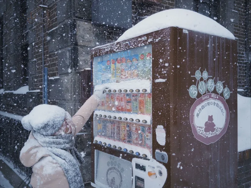 Forget North Face: Why Sapporo's Local Winter Gear Is Built Harder and Costs Less